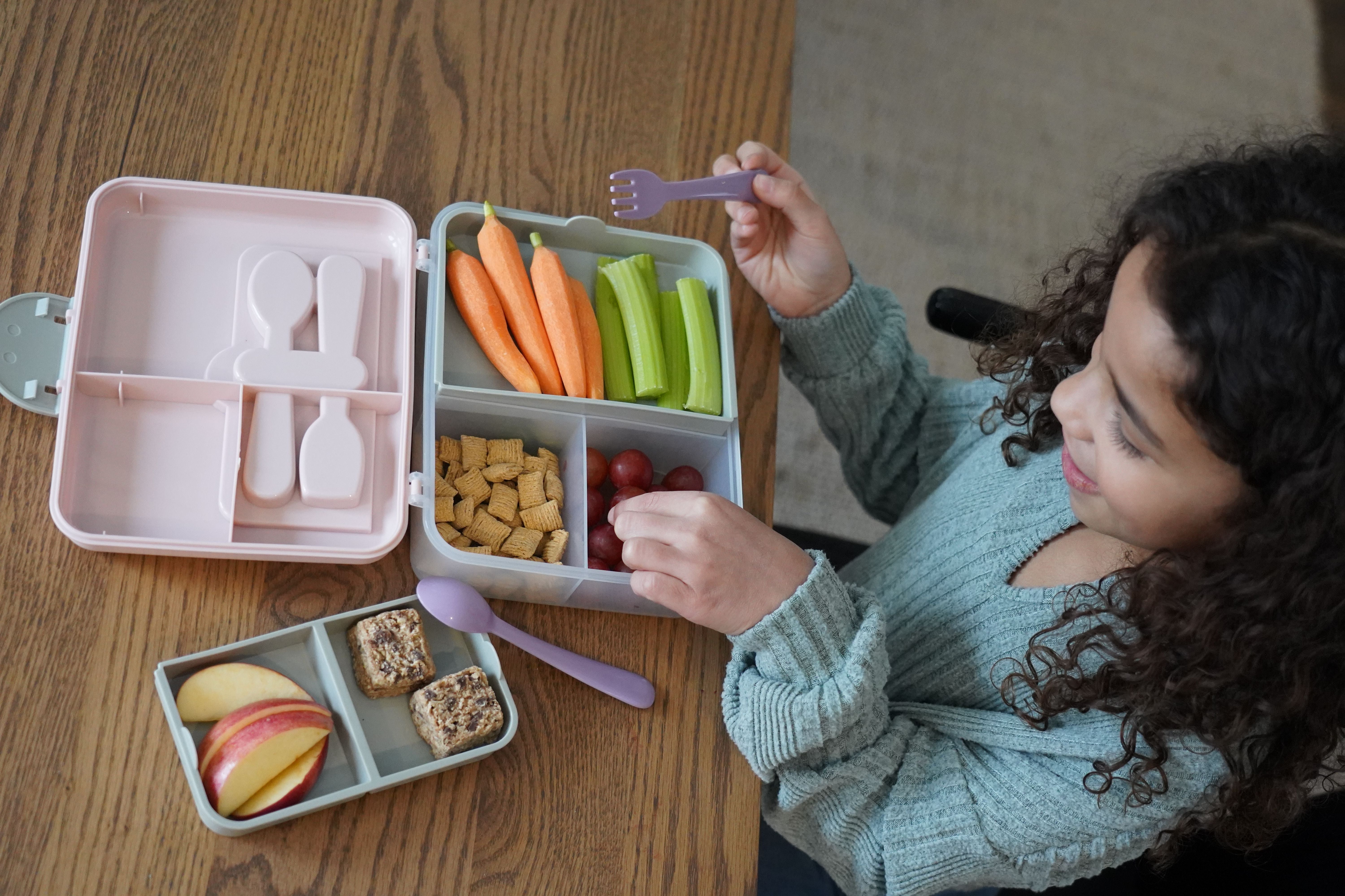 Melii 2 Tier Bento Box - Pink & Grey